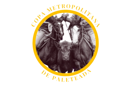 Copa Metropolitana de Paleteada